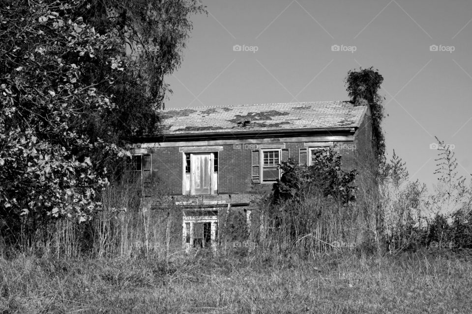 Abandoned Farmhouse 