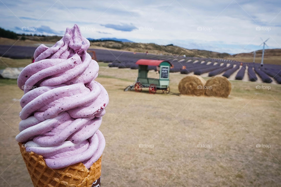 Lavender and blueberry ice cream at a lavender farm in Mackenzie, New Zealand. Sooo yum