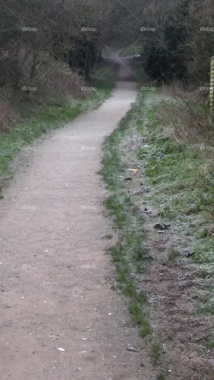 Frosty Path