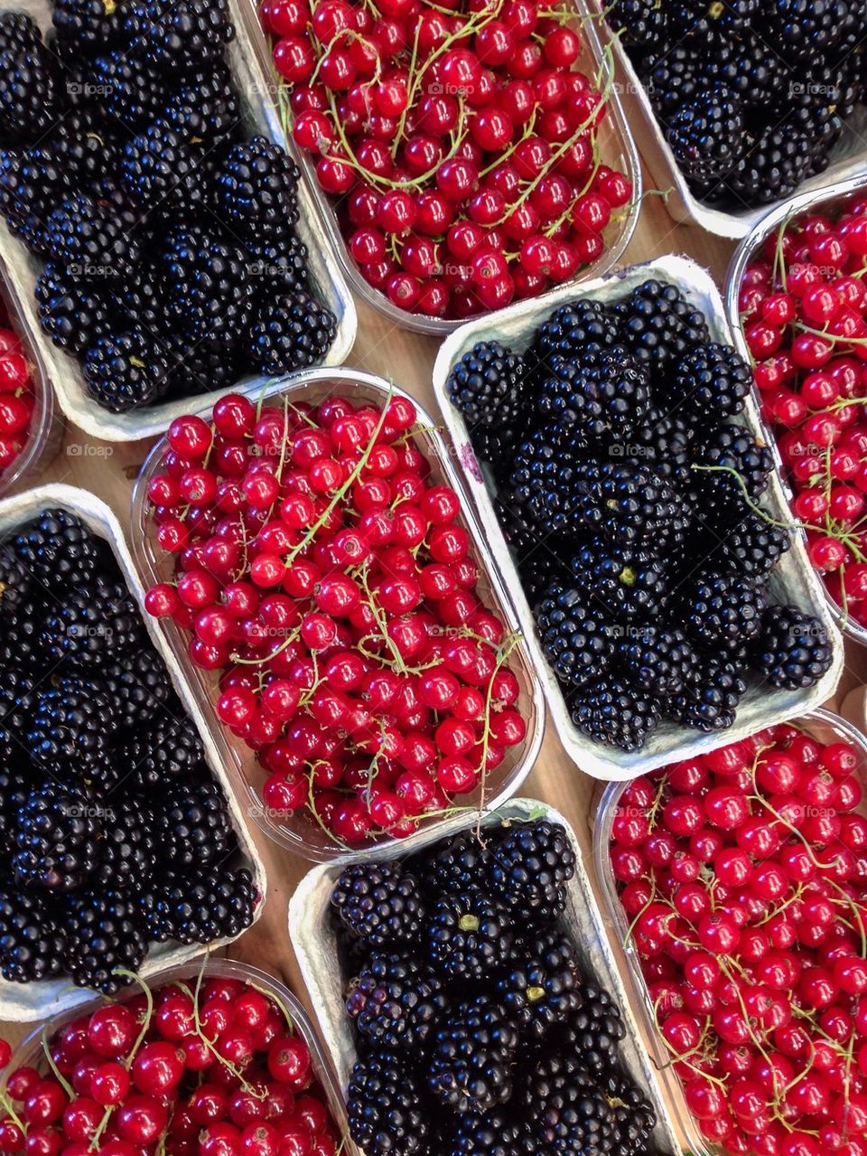 High angle view of berries fruit