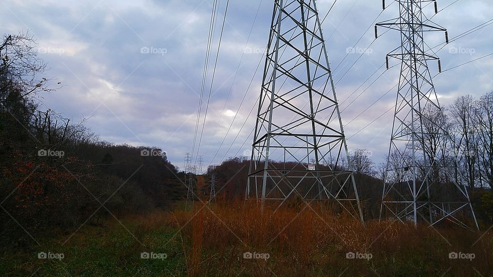 Power lines through out the the reservoirs woods.