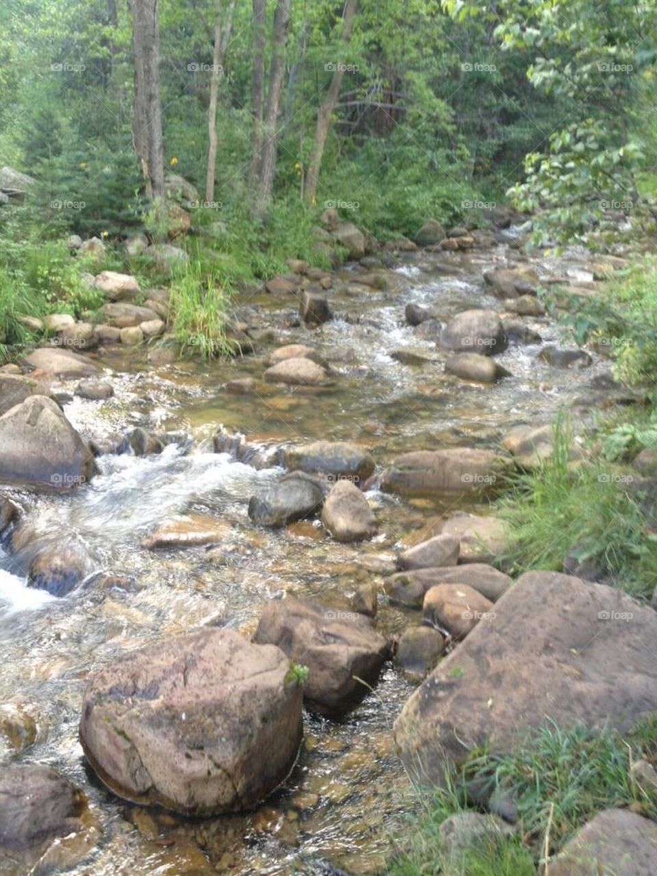 Small Creek