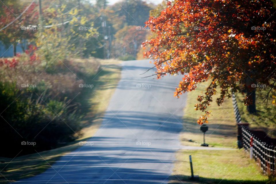 Fall country road 