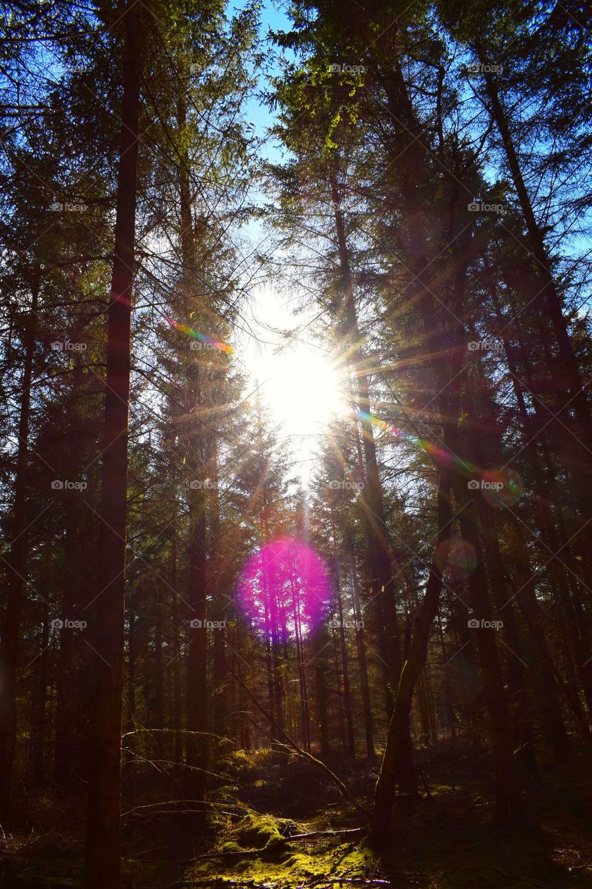 The day I fell in love.