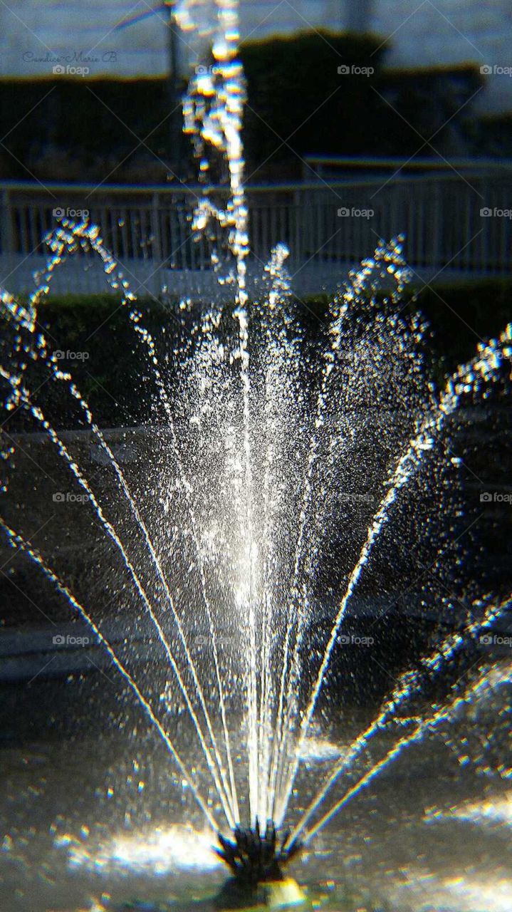 Afternoon Fountain