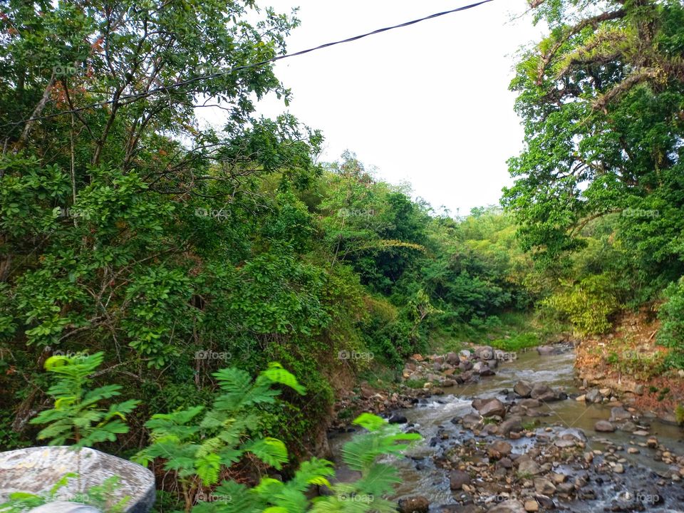 View of the river from a height