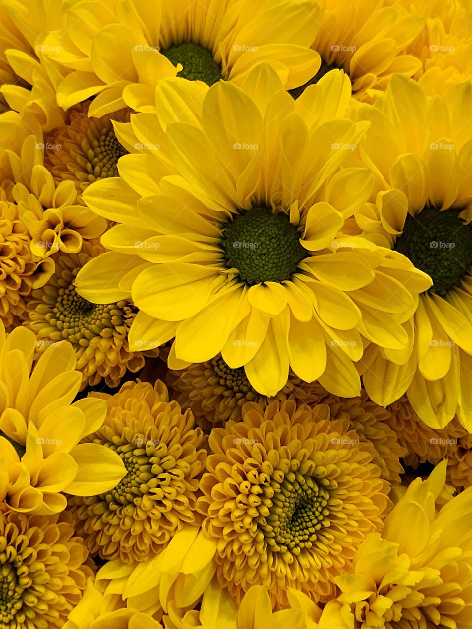 close up view of bright yellow flower blossoms in an Oregon store floral arrangement