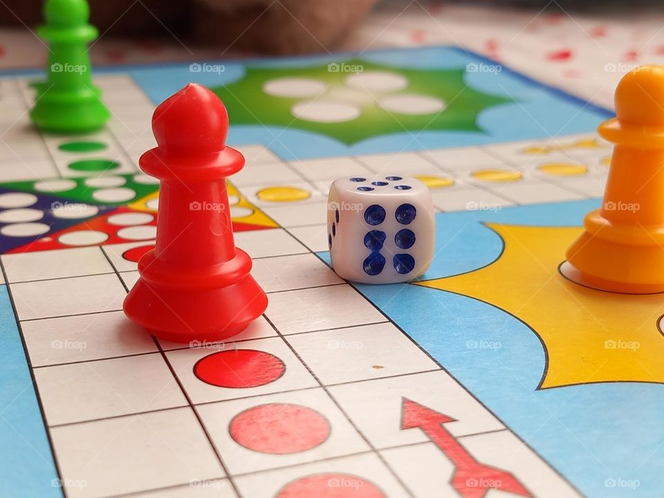 ludo board game