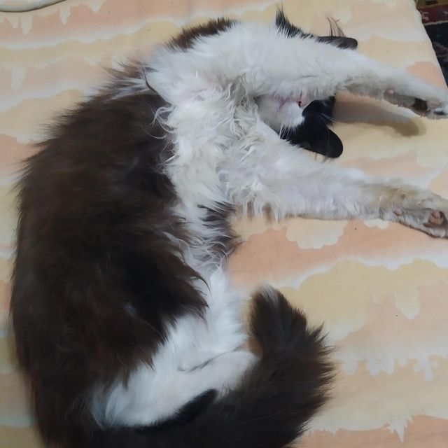 Moments of resting