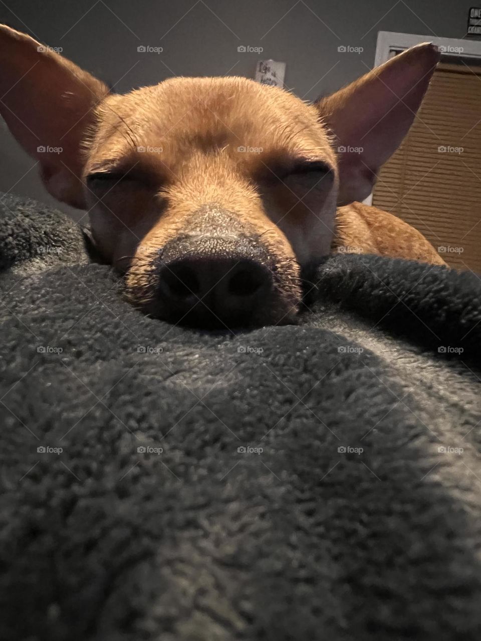 Is it nap time again? 