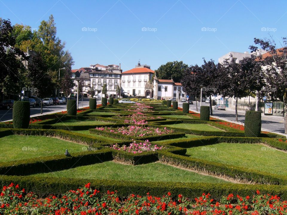 Cores e flores em Guimarães