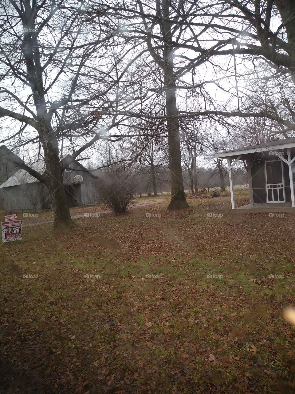 the homestead in a crop field