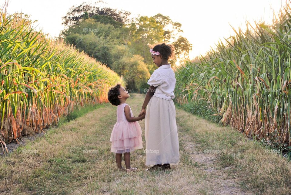 Two little sisters walking corn fields