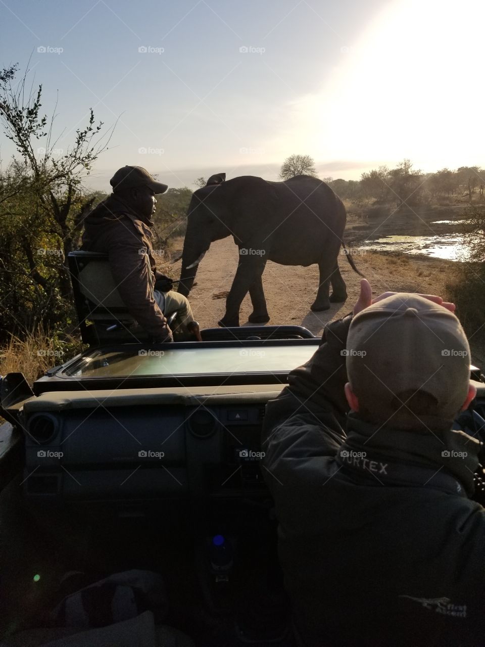 Safari elephant encounter