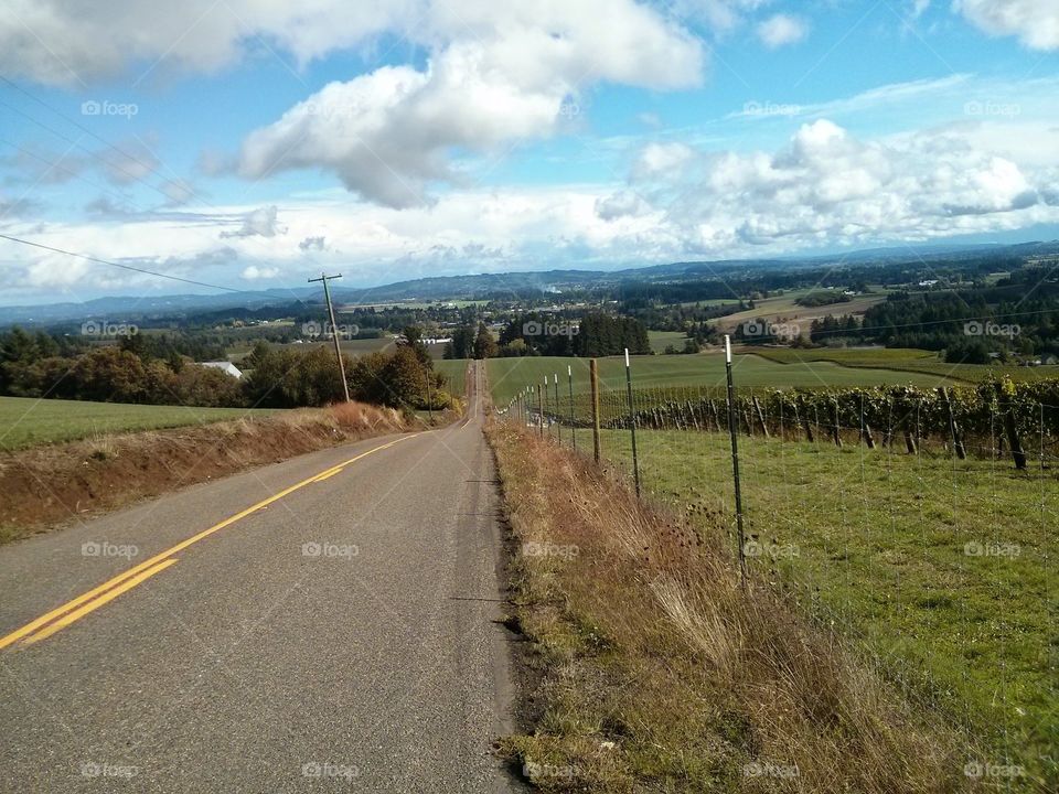 Oregon Country. Driving through the beautiful back roads of Hillsboro Oregon and caught this view. 