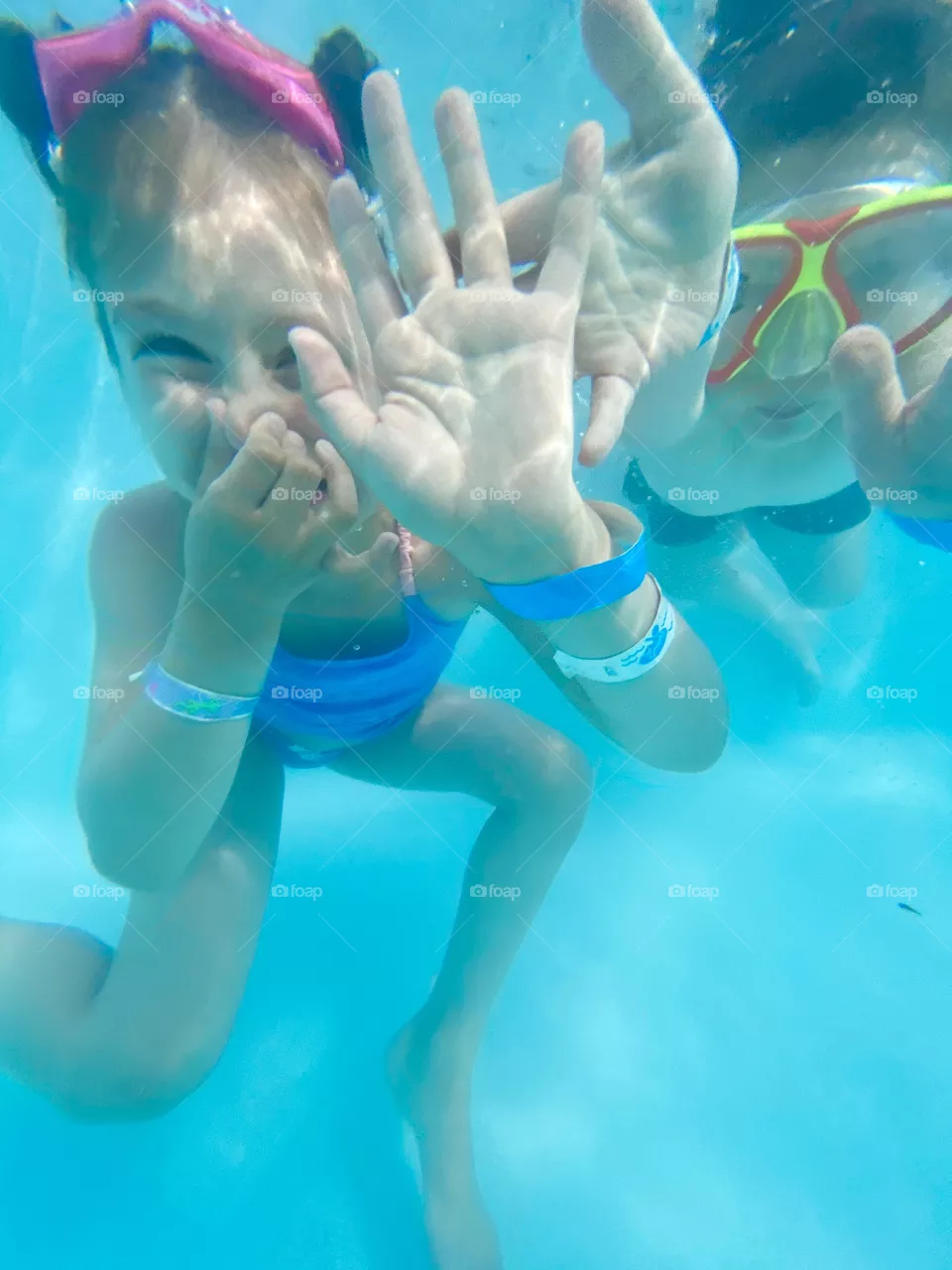 Water bug