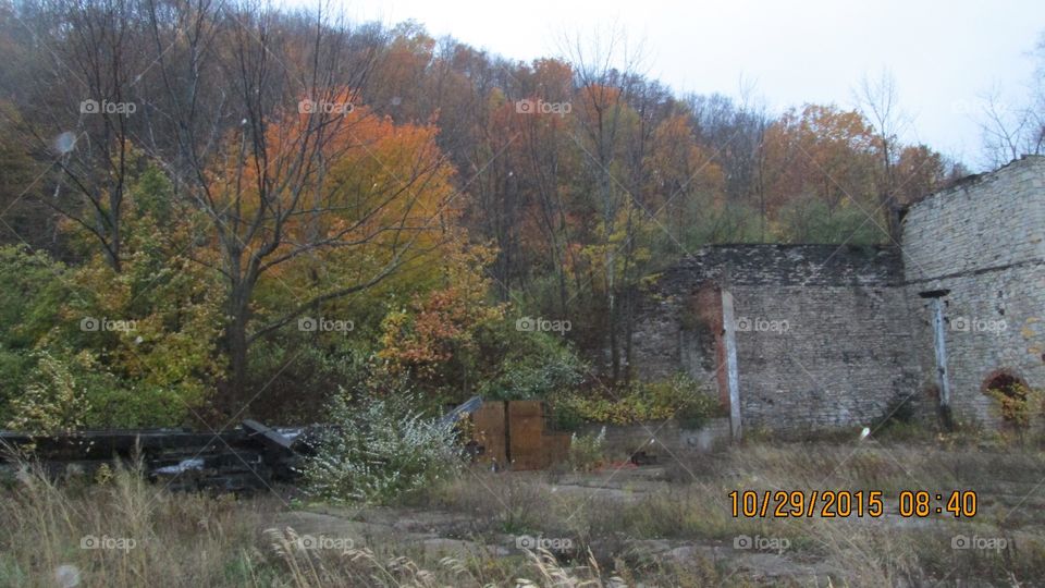 Northern Michigan 