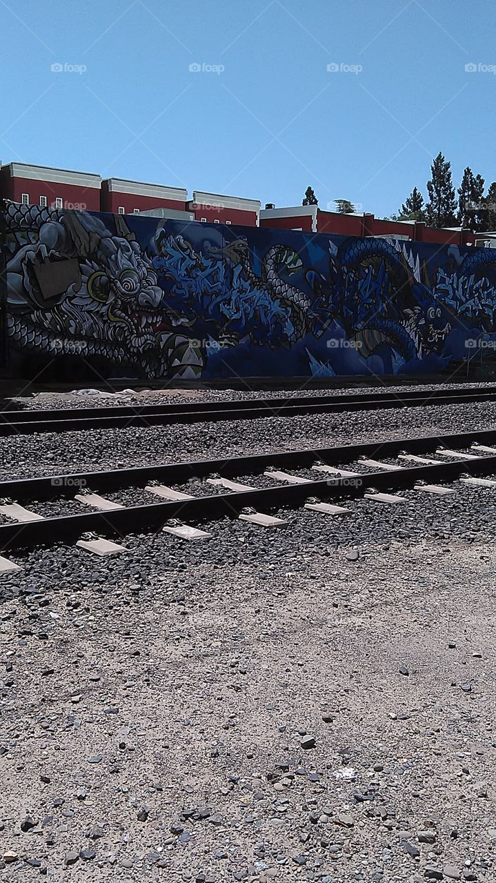 Railroad dragons. Out walking along the train tracks