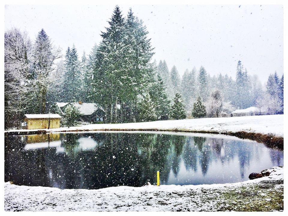 Snow on the pond 