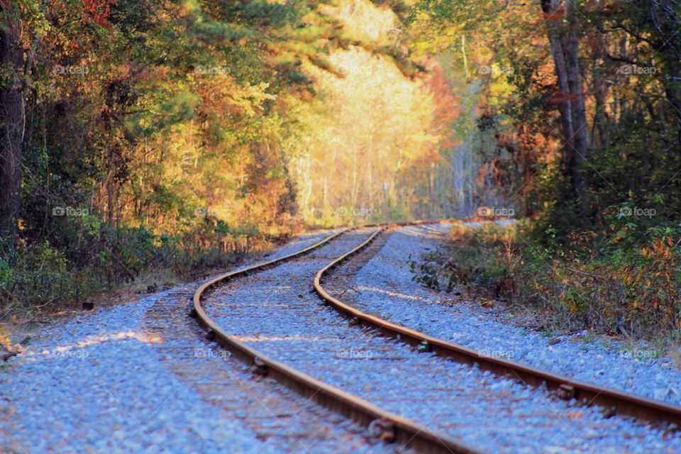 Train tracks in the fall