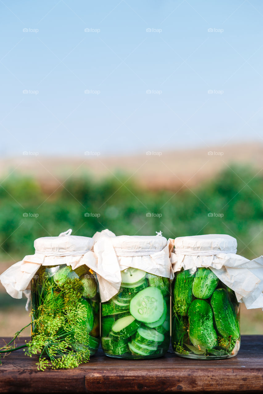 Pickled cucumbers. Pickled cucumbers made with home garden vegetables and herbs