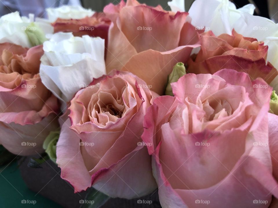 Delicate pink and white Bouquet of roses closeup