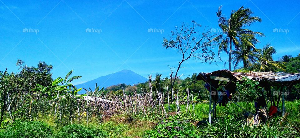 From a distance you can see a beautiful mountain