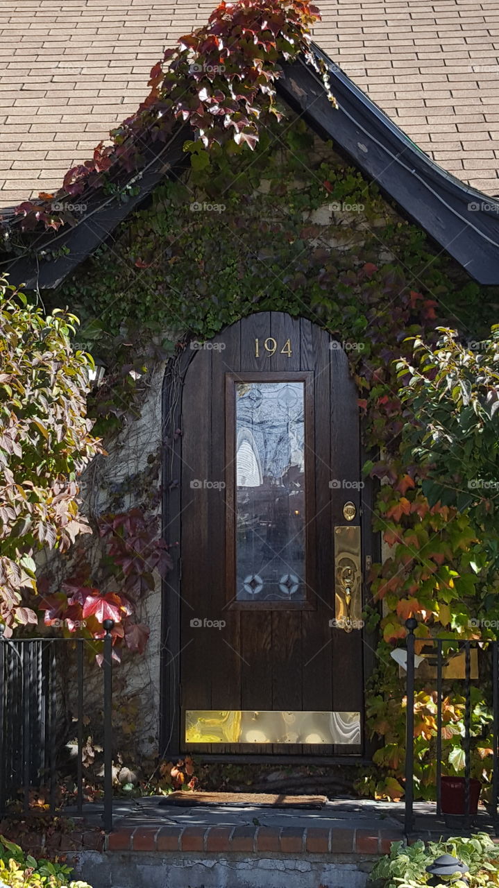 ivy covered door