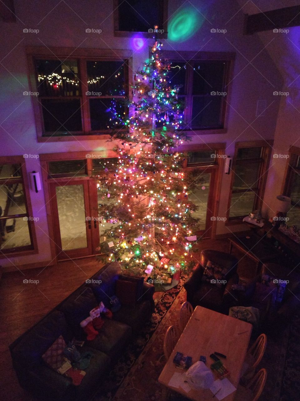 Christmas tree and lights