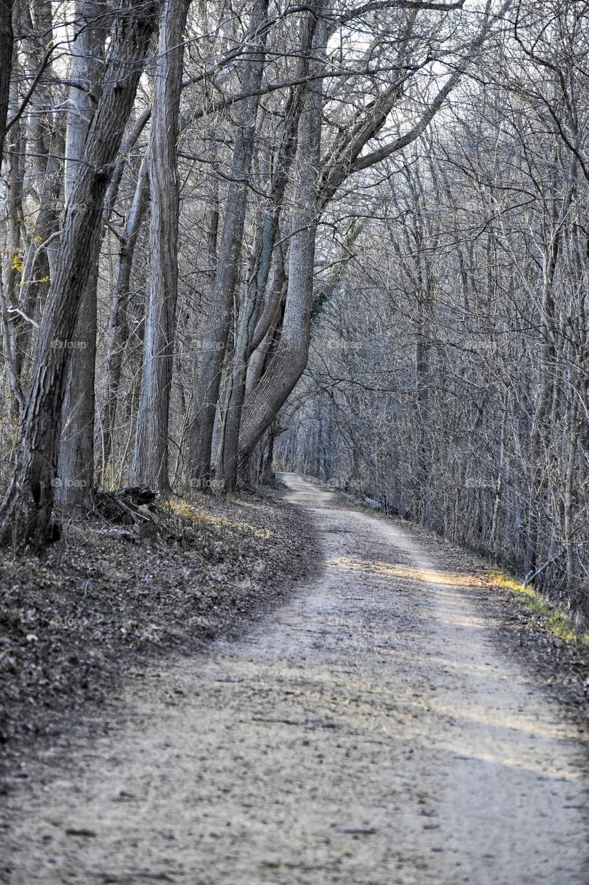 Towpath in Winter