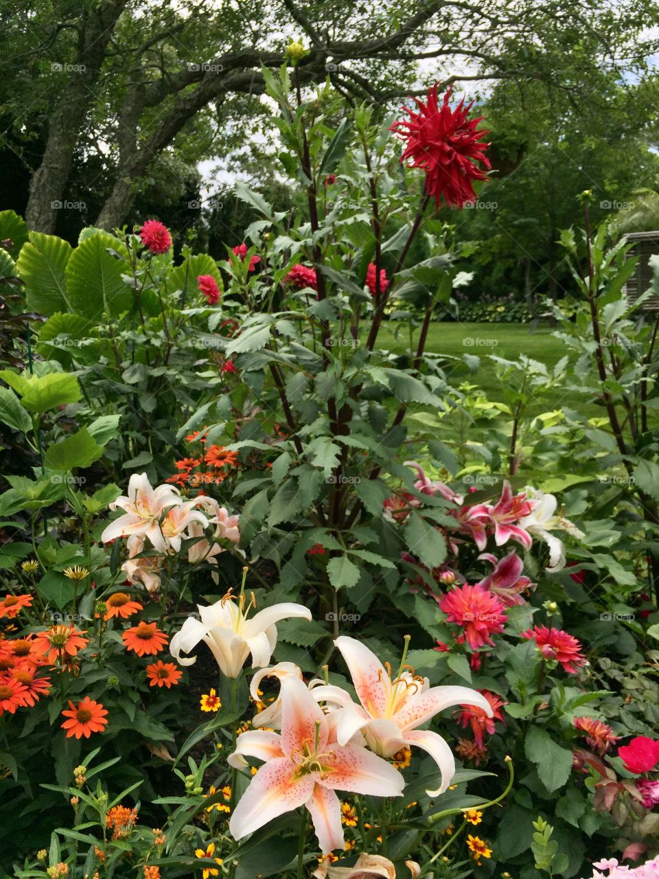 Martha's Vineyard Gar