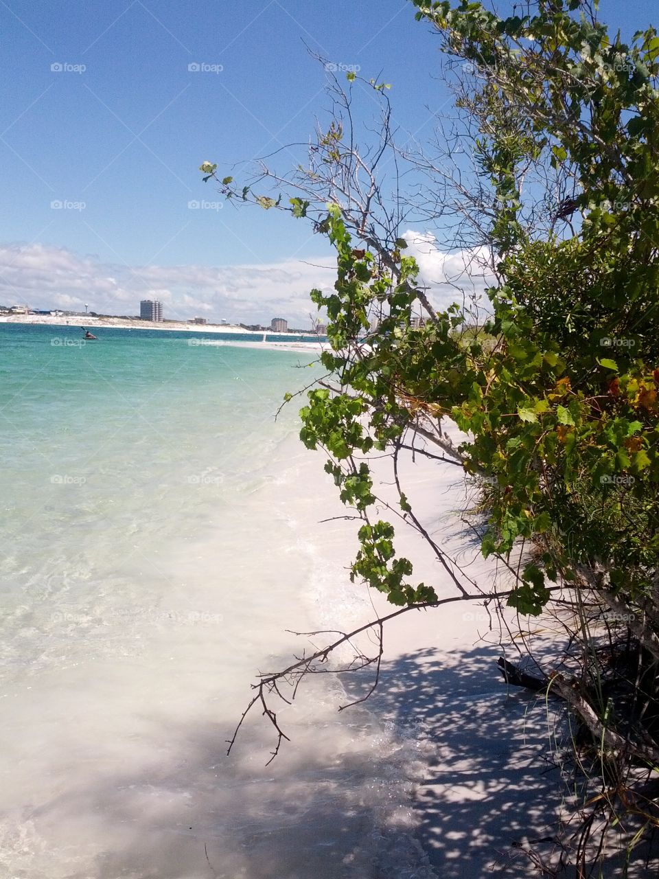 Beach view