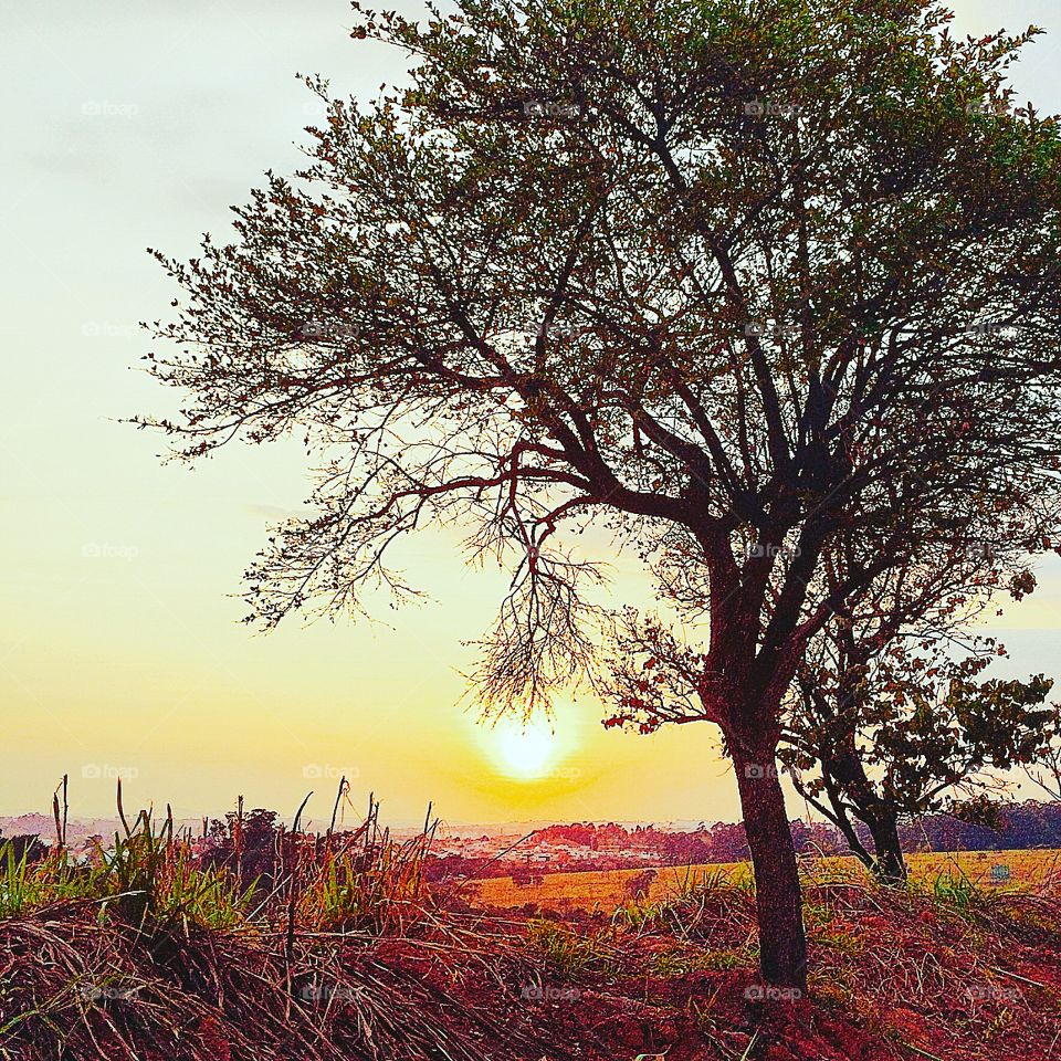 ☀️#Sol muito bonito de #natureza indescritível!
Como não se inspirar?
🌱
#inspiração 
#amanhecer 
#morning
#fotografia
#paisagem