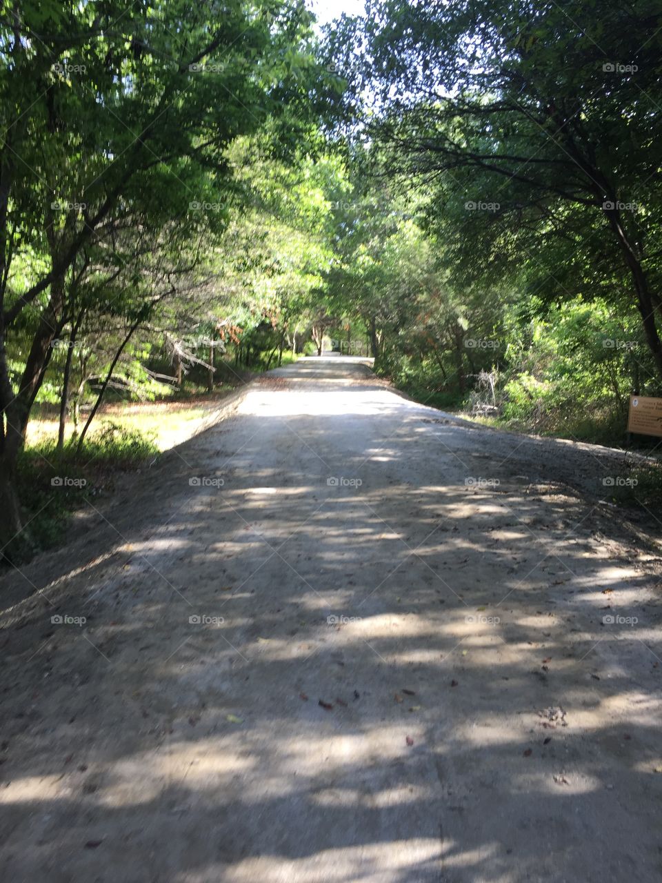 Magnolia road
