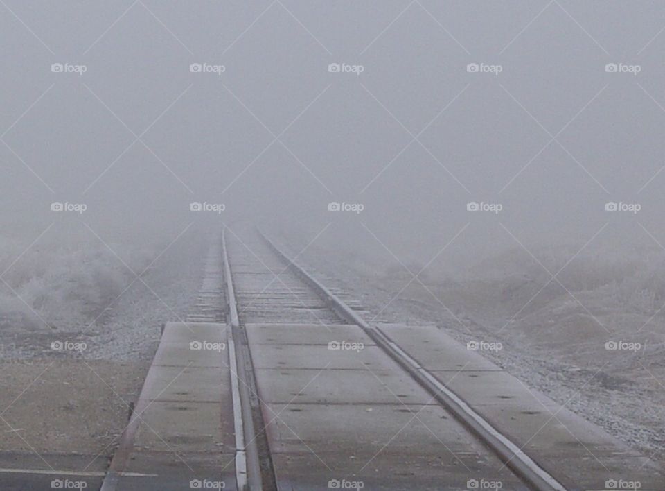 Misty tracks