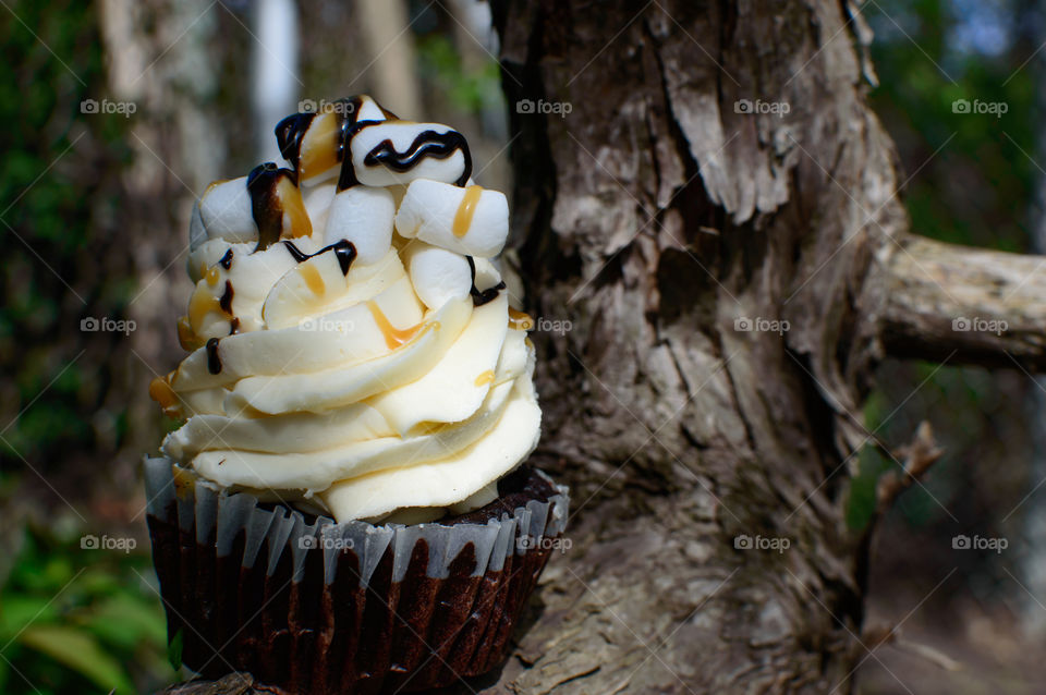 A chocolate cupcake with french vanilla cream frosting swirls topped with marshmallows, rich dark chocolate and caramel Decadent Cupcakes in nature part of a series conceptual background dessert art photography