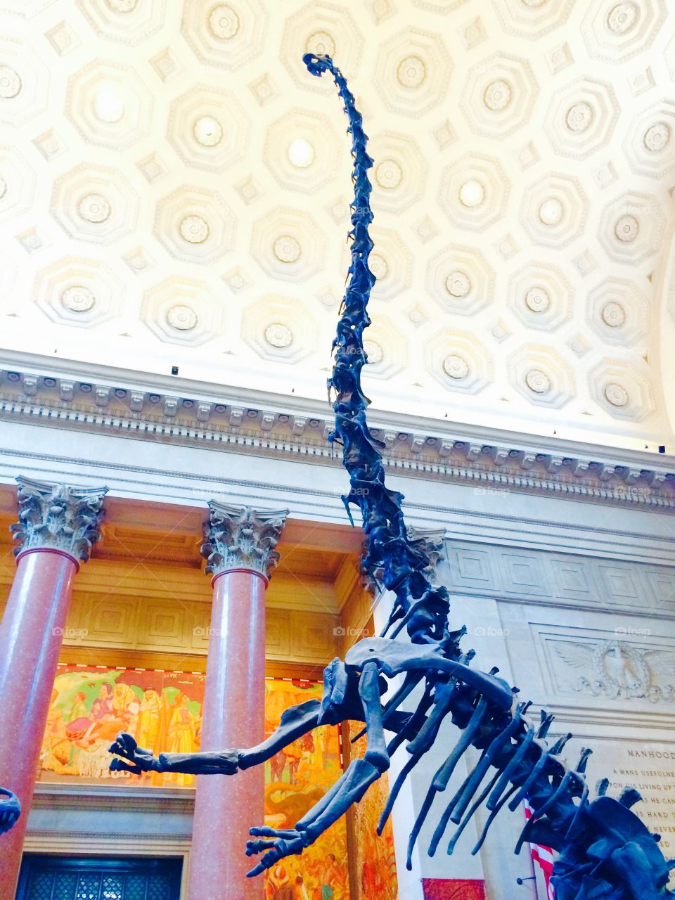 Museum opening display  