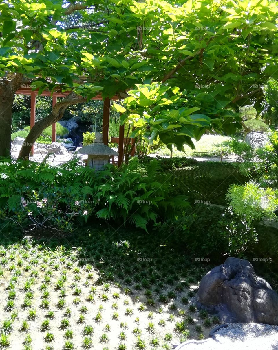 You can feel the tranquility that inspires this picture. Japanese friendship garden.