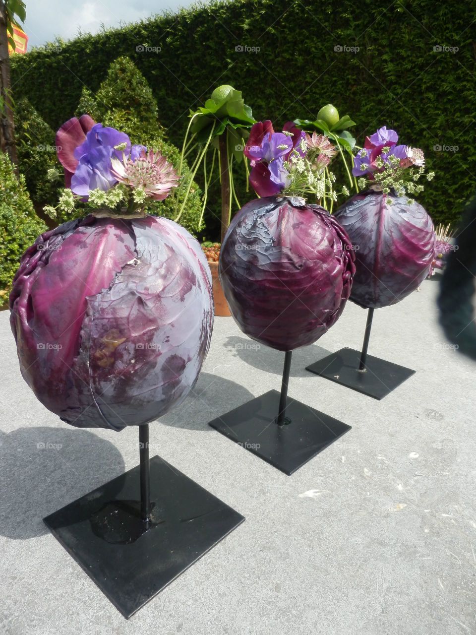 Cabbage and flowers