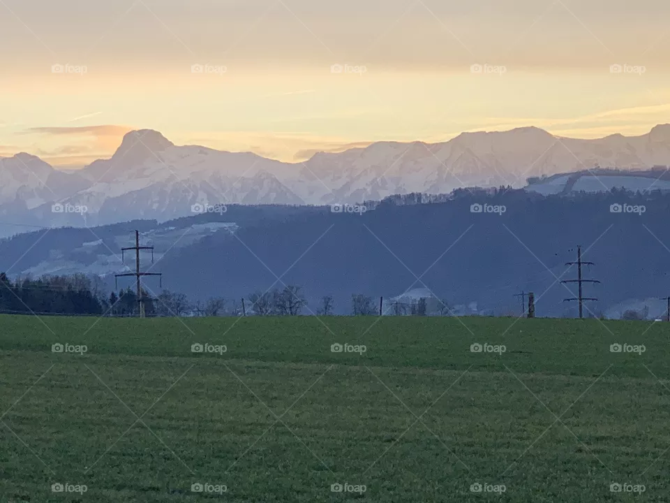 Swiss