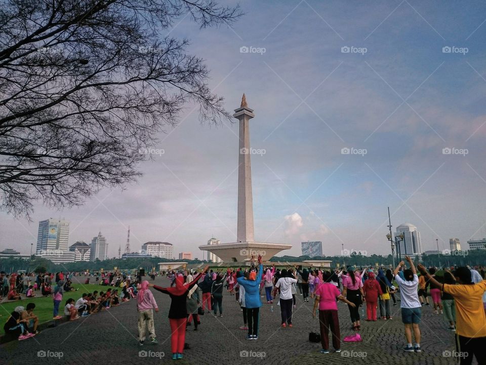 monas