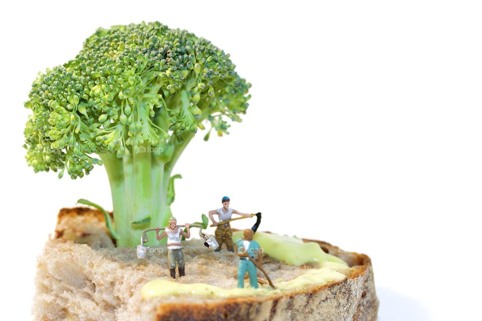 Toy people with green broccoli on bread