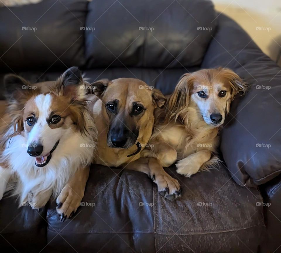three besties hanging out together