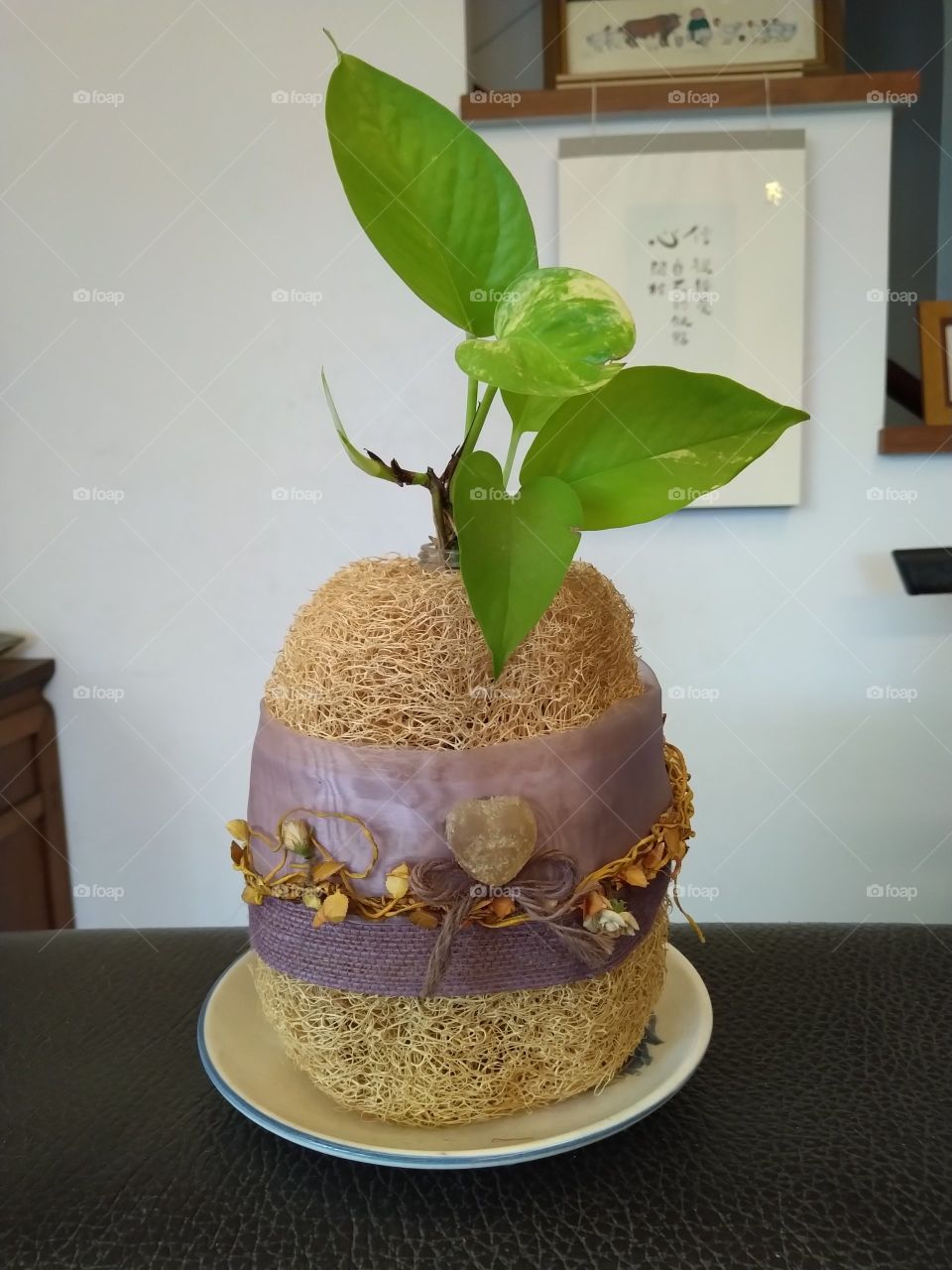 a real plant in style