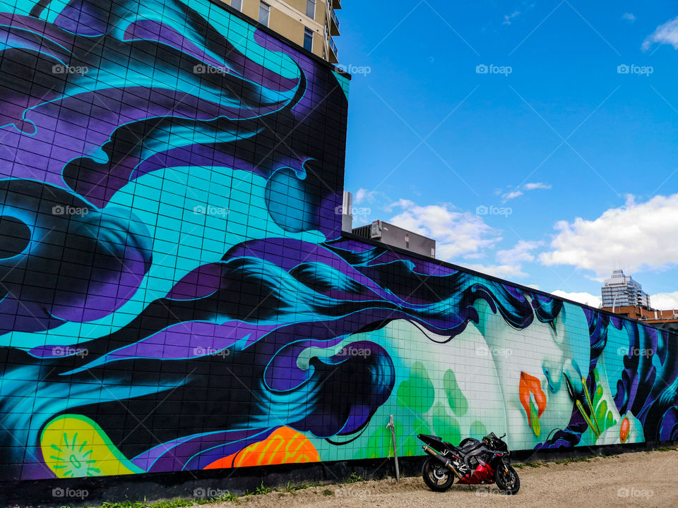 one of the many murals located around Edmonton Alberta Canada from the rust magic mural festival