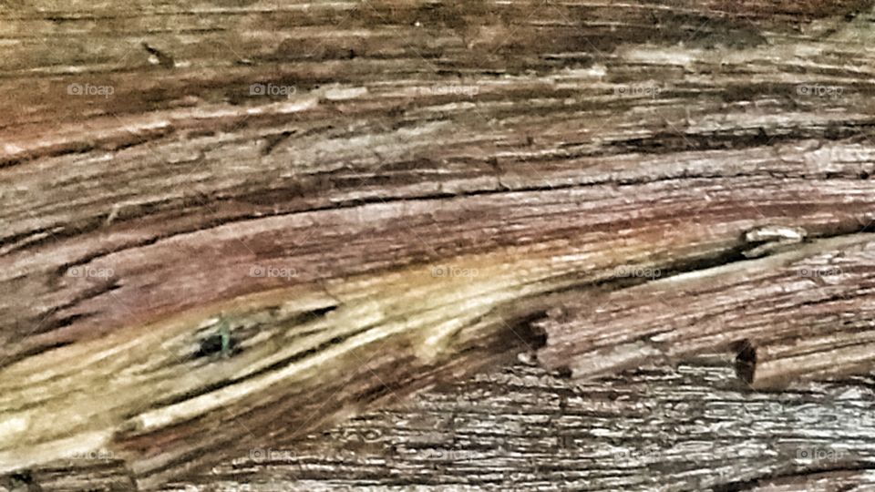 Pinion Wood