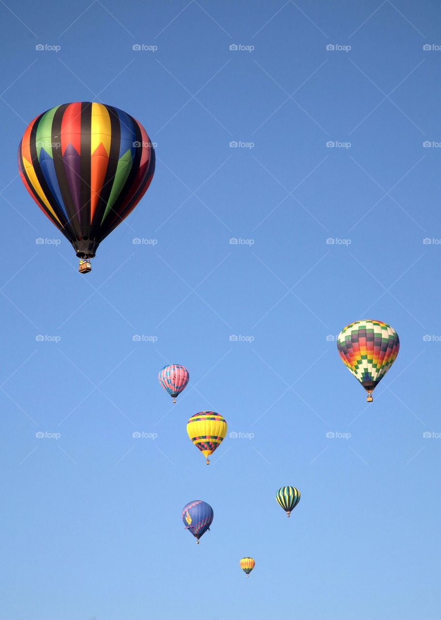Hot air balloons lift off
