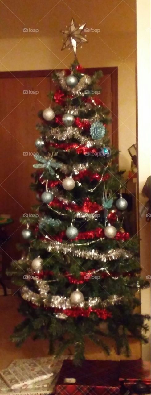 our Christmas tree