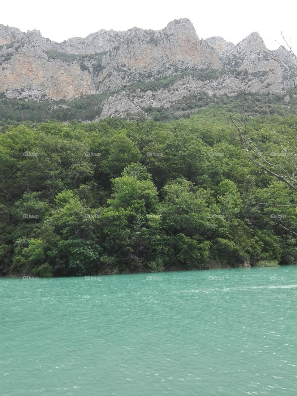 The gorges du Verdon , Ardèche , France
