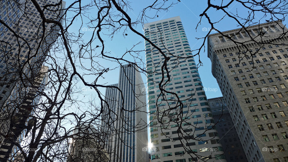 San Francisco, office buildings